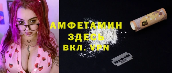 мдпв Пестово