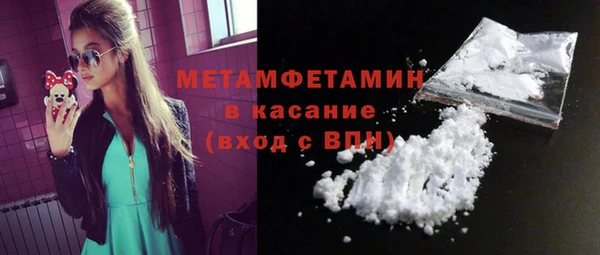 хмурый Пересвет