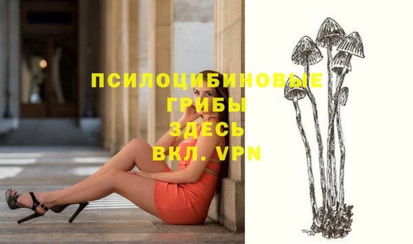 мдпв Пестово