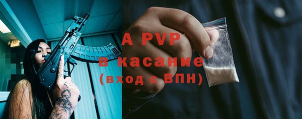 хмурый Пересвет