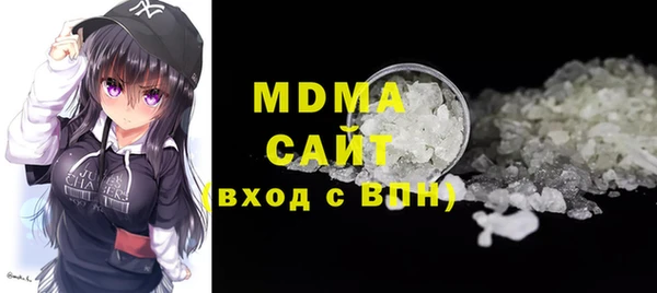 хмурый Пересвет