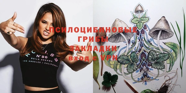 хмурый Пересвет
