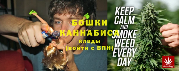 хмурый Пересвет