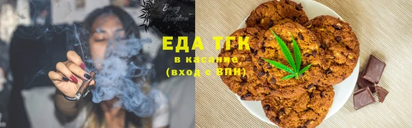 хмурый Пересвет