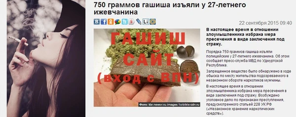 хмурый Пересвет
