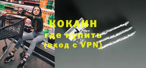 мдпв Пестово